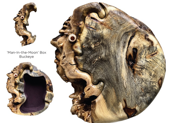 Man in the Moon in Buckeye