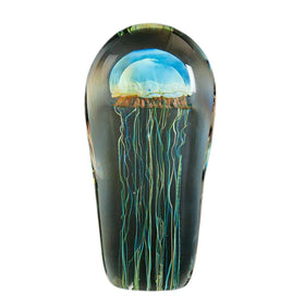 Large Moon Jellyfish