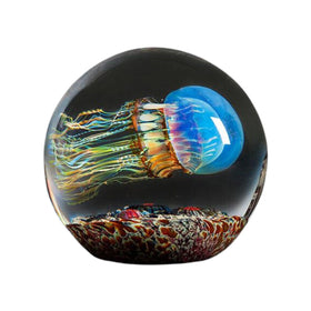 Moon Side Swimmer Jellyfish