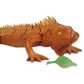 Iguana Puzzle
