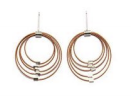 Graduated Circle Post Earrings