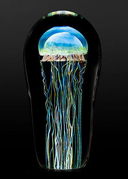 Medium Moon Jellyfish - An American Craftsman