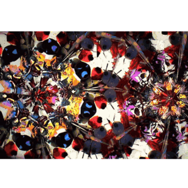 Symphony Kaleidoscope