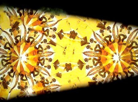Chardonnay Kaleidoscope