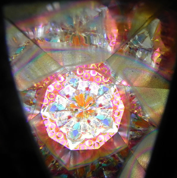 Flora Kaleidoscope