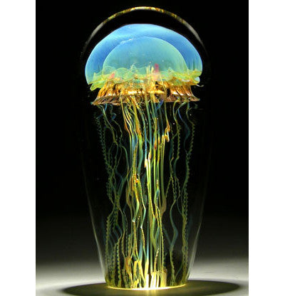 Small Moon Jellyfish