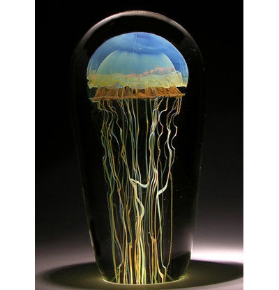 Large Moon Jellyfish