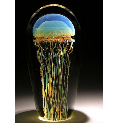 Medium Moon Jellyfish