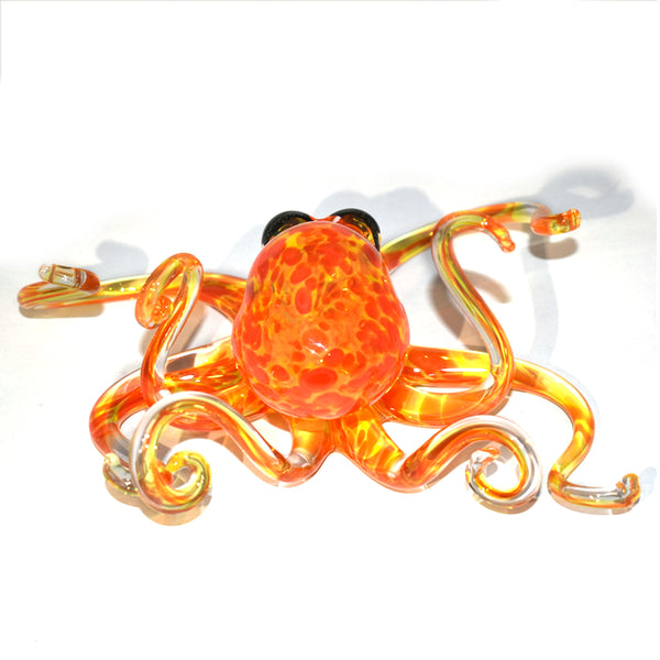 Sunburst Octopus