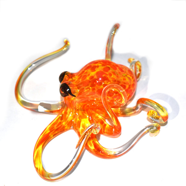 Sunburst Octopus