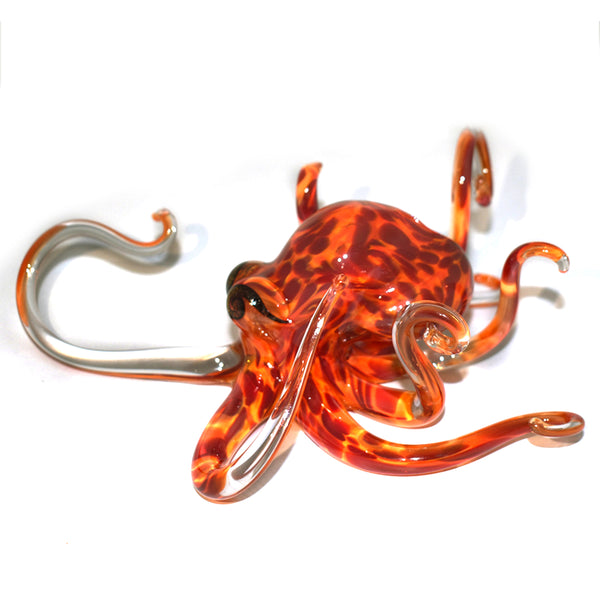 Geranium Orange Octopus