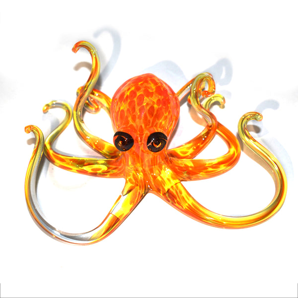 Sunburst Octopus