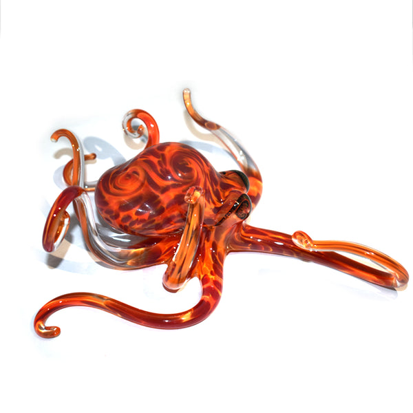 Geranium Orange Octopus